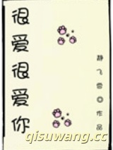 很爱很爱你小说