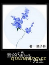 我的编辑先生小说