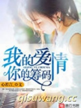 我的爱情，你的筹码小说