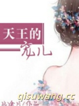 天王的宠儿小说