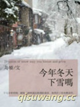 今年冬天下雪吗小说