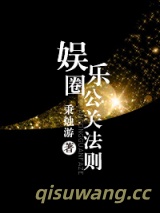 娱乐圈公关法则小说