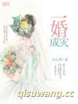一婚成灾小说