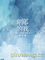 卑鄙的我小说