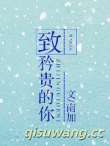 致矜贵的你小说