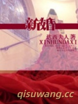 新婚小说