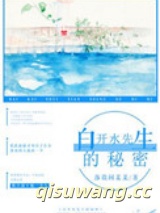 白开水先生的秘密小说