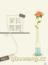 家长驾到小说