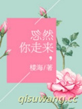 忽然你走来小说