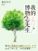 我的博物志先生小说