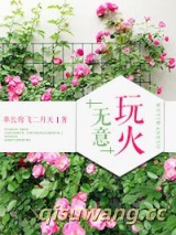 无意玩火小说