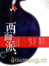 两面派小说