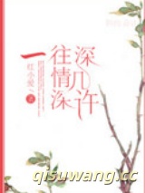 一往情深深几许小说
