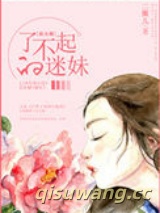 了不起的迷妹[娱乐圈]小说