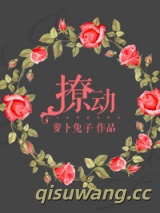 撩动小说