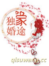 独家婚途小说