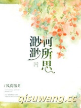 宠妻有道小说