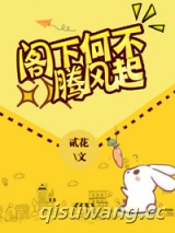 阁下何不腾飞起小说