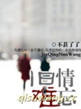 旧情难忘小说