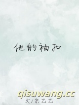 他的袖扣小说