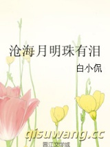 沧海月明珠有泪小说
