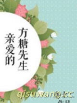 亲爱的方糖先生小说