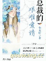 总裁的艰难爱情小说