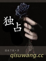 独占小说