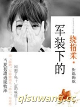 军装下的绕指柔小说
