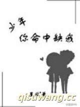 少年你命中缺我小说