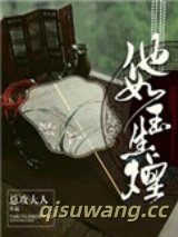 他如玉生烟小说