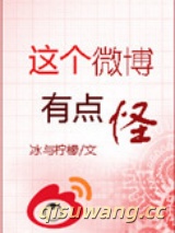 这个微博有点怪小说