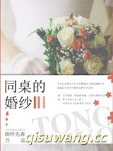 同桌的婚纱小说