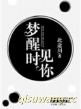 梦醒时见你小说