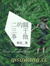 关于他的二三事小说