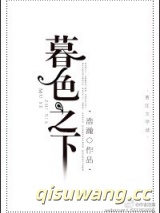 暮色之下小说
