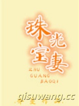 珠光宝妻小说