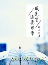 盛先生追妻日常小说