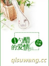 一勺醋的爱情小说