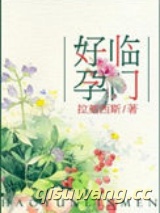 好孕临门小说