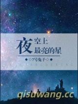 夜空上最亮的星小说