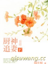 厨神追妻记小说