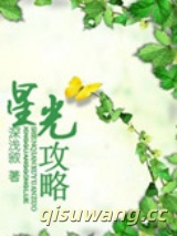星光攻略小说