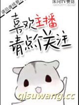 喜欢主播请点个关注小说