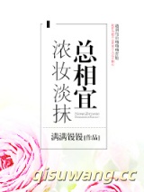 浓妆淡抹总相宜小说