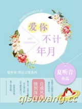 爱你，不计年月小说