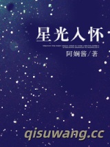 星光入怀小说