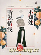 听说情浅不知处小说