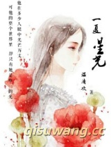 一夏星光（娱乐圈）小说