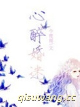 心醉婚迷小说